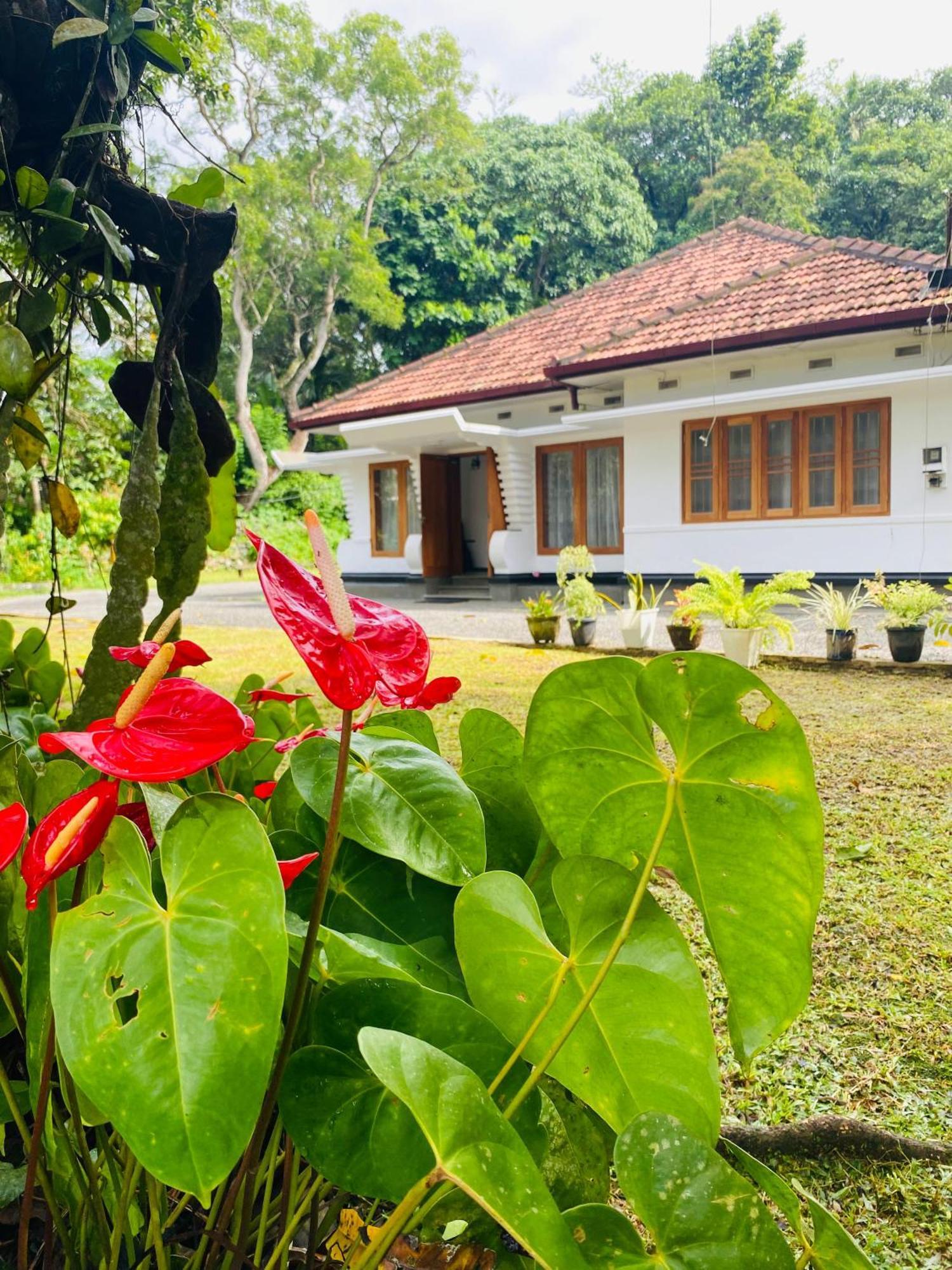 Happy Valley Residence Unawatuna كالي المظهر الخارجي الصورة